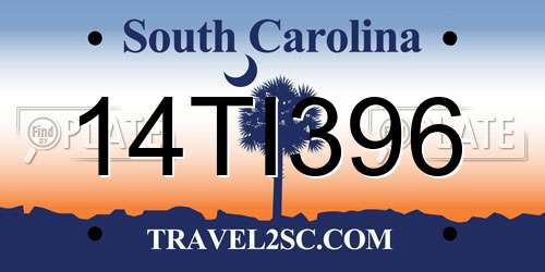 14TI396 South Carolina License Plate