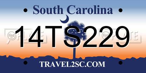 14TS229 South Carolina License Plate