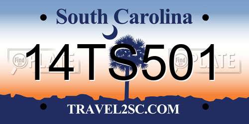 14TS501 South Carolina License Plate