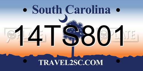 14TS801 South Carolina License Plate
