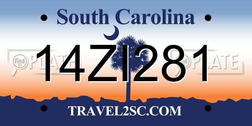 14ZI281 South Carolina License Plate