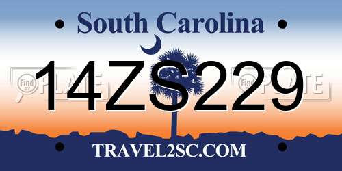 14ZS229 South Carolina License Plate