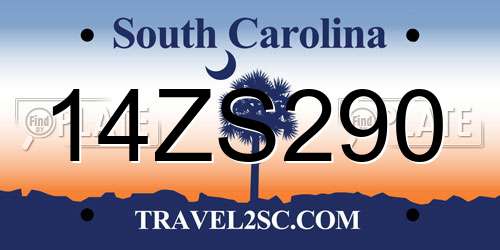 14ZS290 South Carolina License Plate