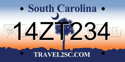 14ZT234 South Carolina License Plate