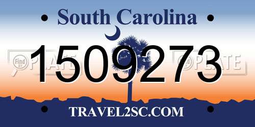 1509273 South Carolina License Plate