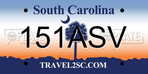 151ASV South Carolina License Plate