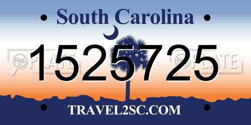 1525725 South Carolina License Plate