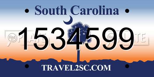 1534599 South Carolina License Plate
