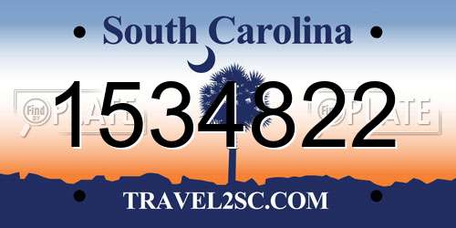 1534822 South Carolina License Plate