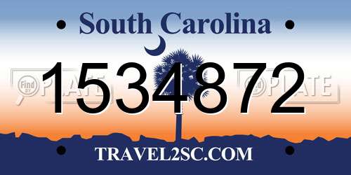 1534872 South Carolina License Plate