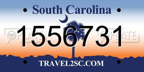 1556731 South Carolina License Plate