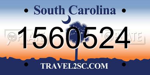 1560524 South Carolina License Plate