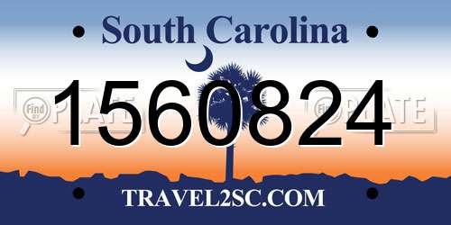 1560824 South Carolina License Plate
