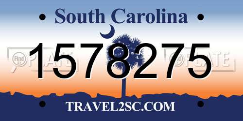 1578275 South Carolina License Plate
