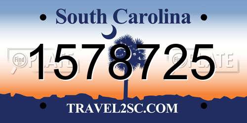 1578725 South Carolina License Plate