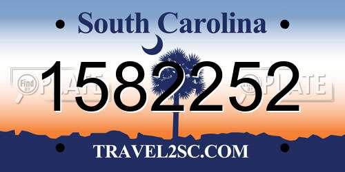 1582252 South Carolina License Plate
