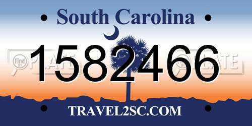 1582466 South Carolina License Plate