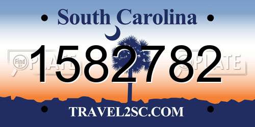 1582782 South Carolina License Plate