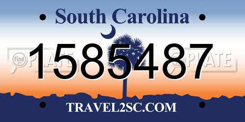 1585487 South Carolina License Plate