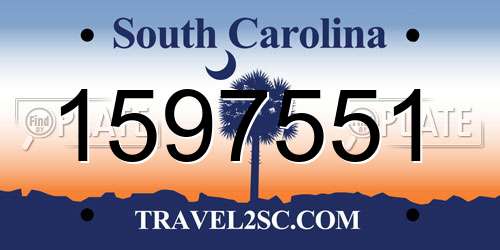 1597551 South Carolina License Plate
