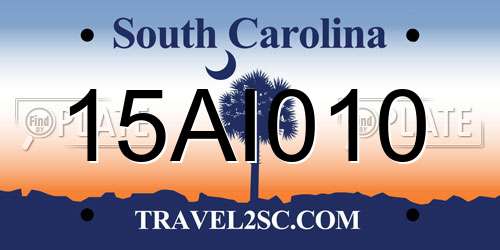 15AI010 South Carolina License Plate