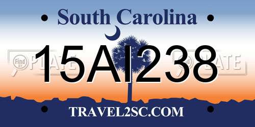 15AI238 South Carolina License Plate