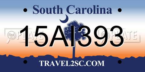 15AI393 South Carolina License Plate