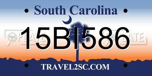 15BI586 South Carolina License Plate