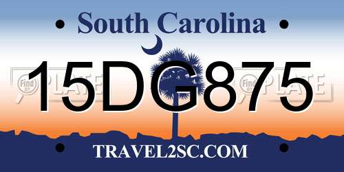 15DG875 South Carolina License Plate