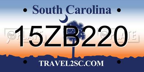 15ZB220 South Carolina License Plate