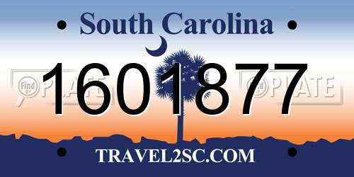 1601877 South Carolina License Plate