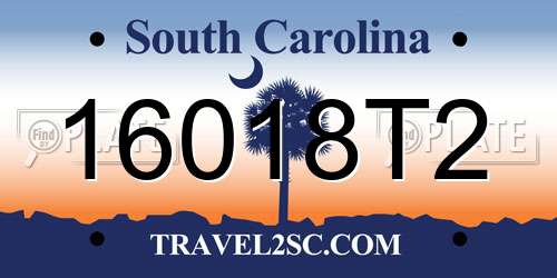 16018T2 South Carolina License Plate