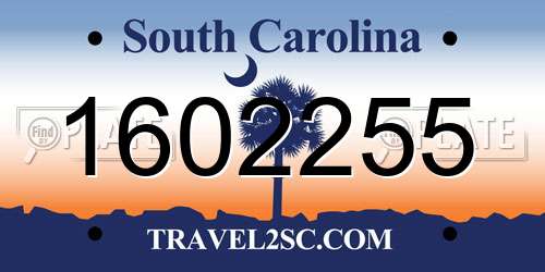 1602255 South Carolina License Plate