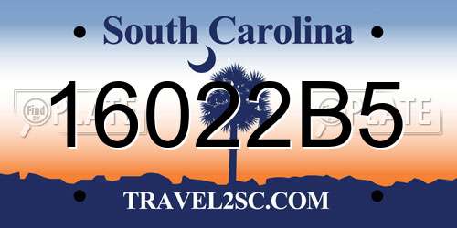 16022B5 South Carolina License Plate
