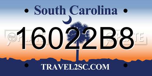 16022B8 South Carolina License Plate