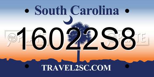 16022S8 South Carolina License Plate