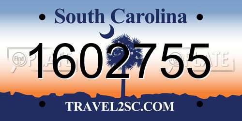 1602755 South Carolina License Plate