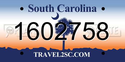 1602758 South Carolina License Plate