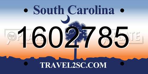 1602785 South Carolina License Plate