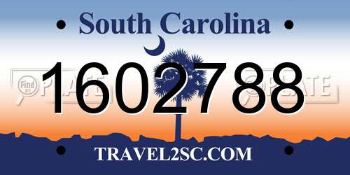 1602788 South Carolina License Plate