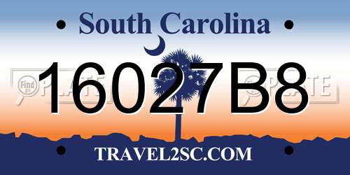 16027B8 South Carolina License Plate