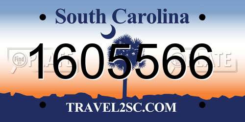 1605566 South Carolina License Plate