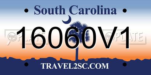 16060V1 South Carolina License Plate