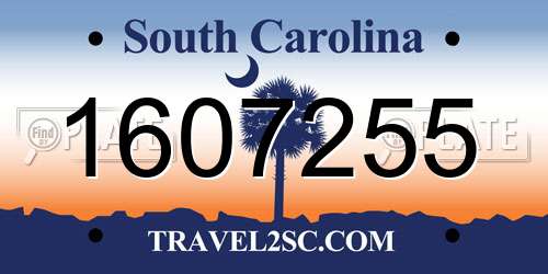 1607255 South Carolina License Plate