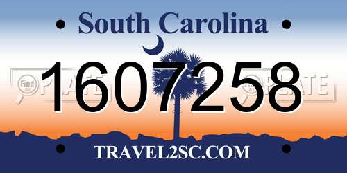1607258 South Carolina License Plate