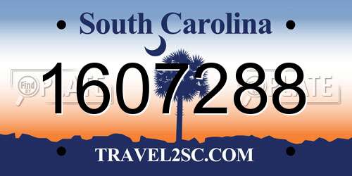 1607288 South Carolina License Plate