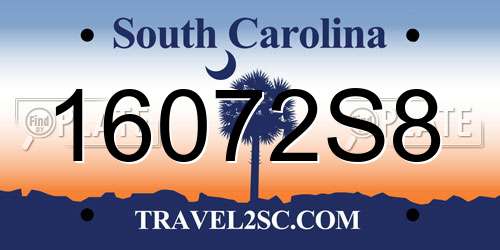 16072S8 South Carolina License Plate