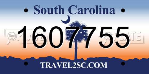 1607755 South Carolina License Plate