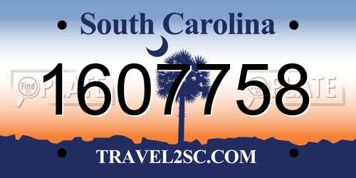 1607758 South Carolina License Plate