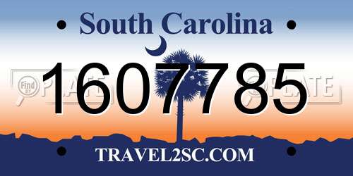 1607785 South Carolina License Plate